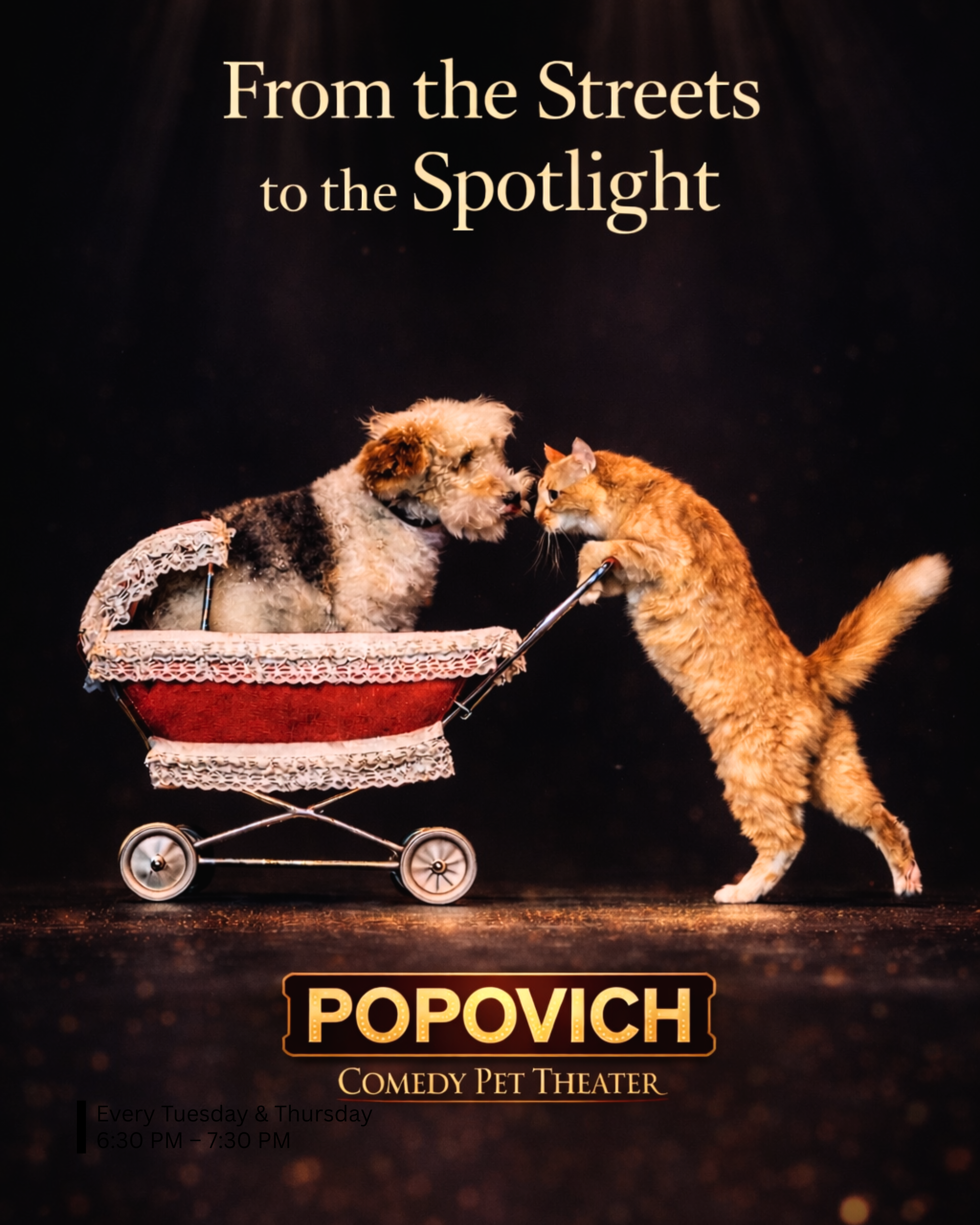 Popovich Pet Theater